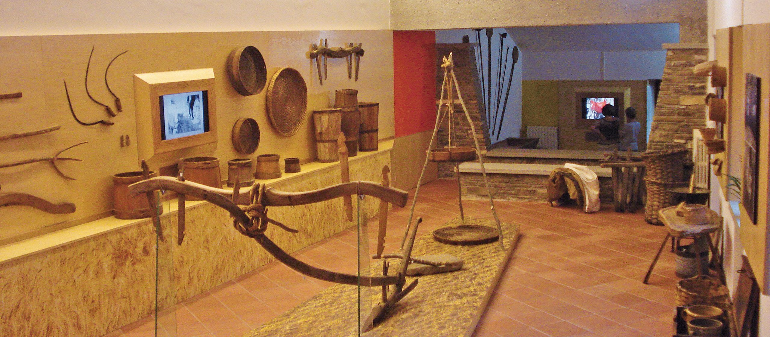 Sala E Museo: riti, feste e socialità