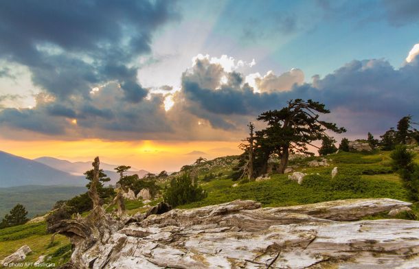 Tramonto sui Piani del Pollino con i pini loricati